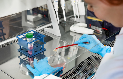 Kantasolulaboratorio.