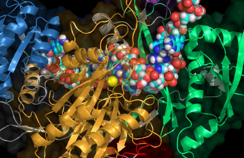 RNA-Ago2-proteiinikompleksi.