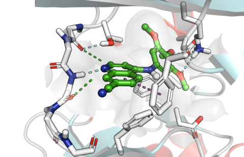 UNC-CA157 docked into COQ8A. 