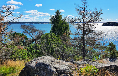 Turun luonnosta kuvituskuva.