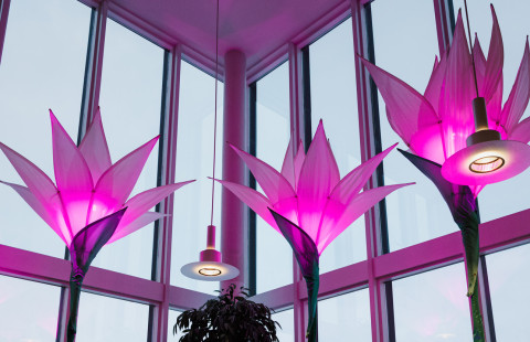 UEF Visual Festival.