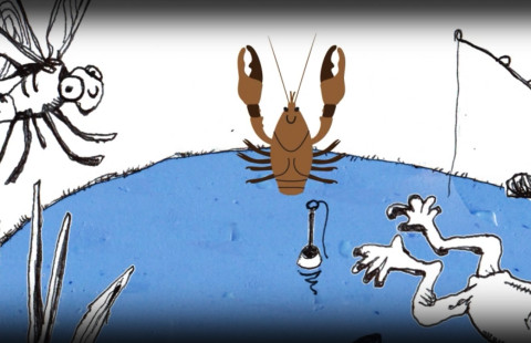 Drawing of a crab, other animals and an angler.