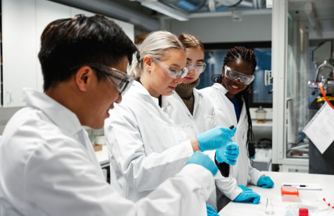 Useita tutkijoita yhteisen työn äärellä kemian laboratoriossa.