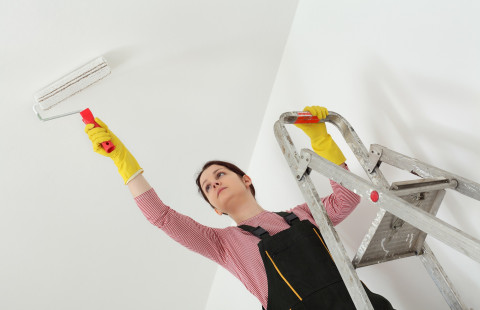 Katon maalausta maalaustelalla.