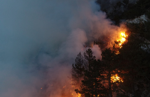 Forest fire. Photo_Mostphotos.