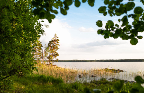 Kesäinen järvimaisema.
