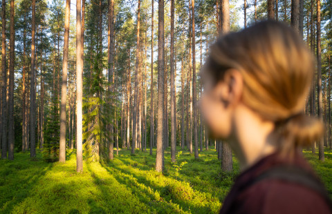 Henkilö katsoo metsää ilta-auringossa.