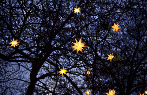 Valo-kurssille sopiva kuvituskuva, Filip Bunkens / Unsplash, https://unsplash.com/photos/9YDaCFmuoug