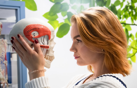 biolääketieteen opiskelija Aino Mäkinen itseopiskelutiloissa, katsoo anatomista mallia kallosta