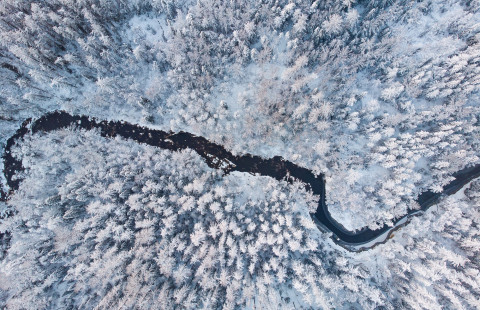 Ilmakuva talvisen metsän halki virtaavasta joesta.