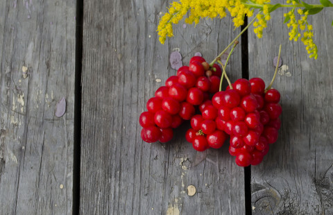 Palsamiköynnöksen marjoja.