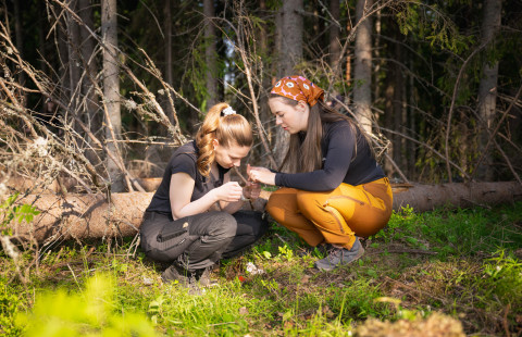Metsätieteen opiskelijat metsässä kenttätöissä.