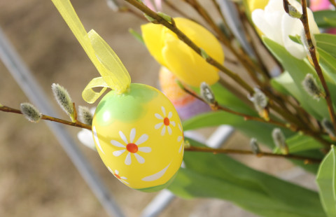 Pääsiäiskoriste roikkuu pajun oksassa