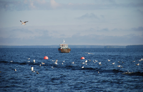 Vene järvellä. Kuva Pekka Hyvärinen.