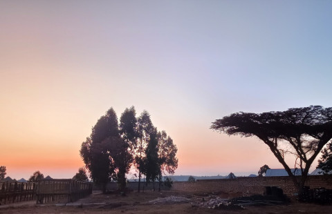  An African landscape in Mafinga town Tanzania with trees and brick wall.