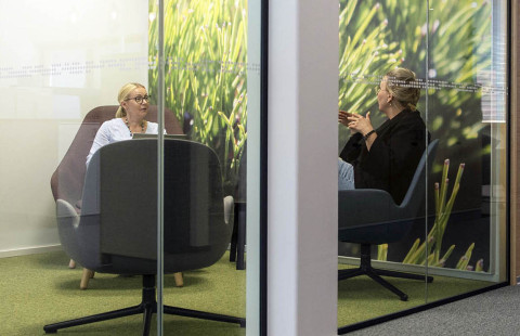 persoonallisuus ja motivaatio työelämässä