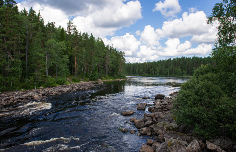 Koski, metsää ja pilvinen taivas.