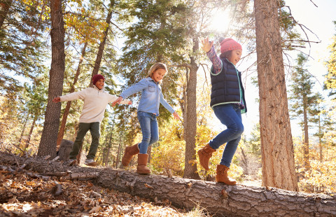 Lapsia tasapainoilemassa kaatuneen puun rungolla.