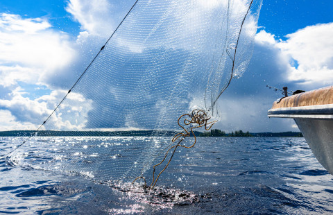 Vene ja kalastusverkko järvellä. Taustalla pilvinen taivas.
