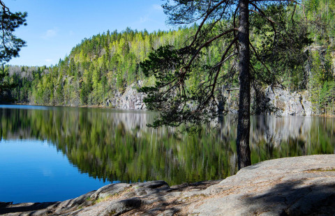 Mänty, järvi, metsää ja kallioita.