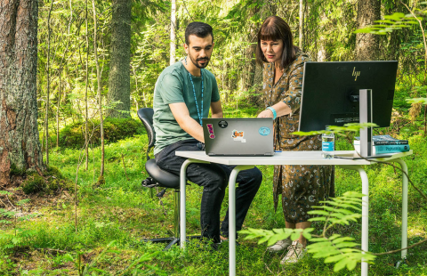 Biologiaa metsässä