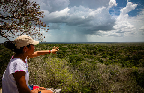 Elokuvan päähenkilö osoittaa kohti Mayojen sademetsän maisemaa