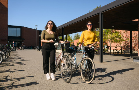 The main image for this degree programme.