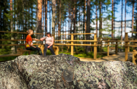 Kajaanin terveysmetsä. Kuva Jari Lindeman, Luke. 