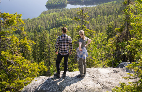 Forestry students at the top of Koli.