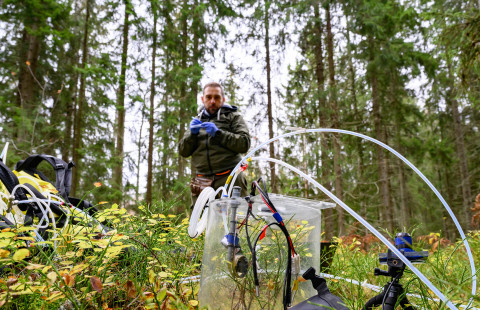 Tutkimuslaitteita metsässä.