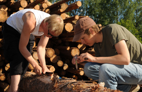 Henkilöt tutkii tukkeja. 