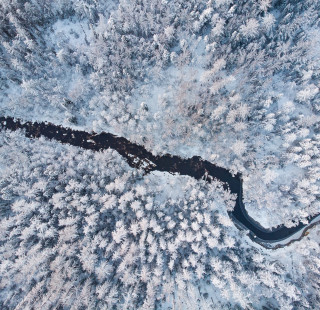 Ilmakuva talvisen metsän halki virtaavasta joesta.