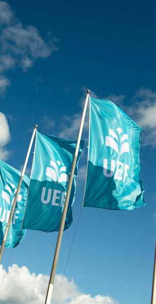 Flags of the University of Eastern Finland.